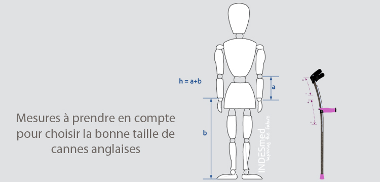 Comment régler la hauteur des cannes anglaises?